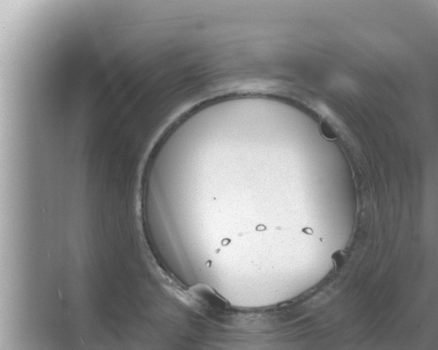 X0000069381232200605262042