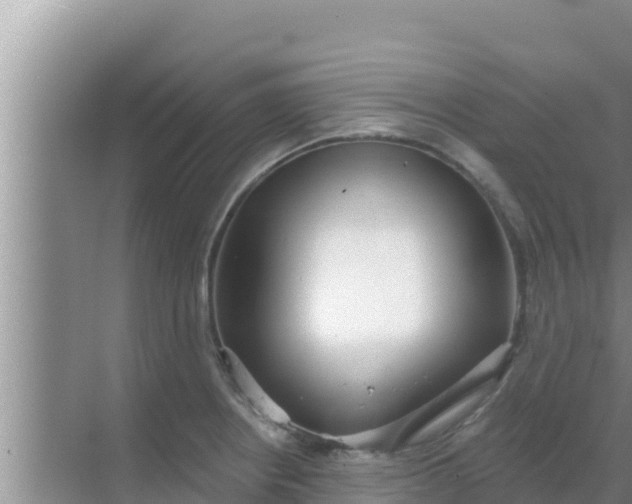 X0000069381234200605262042