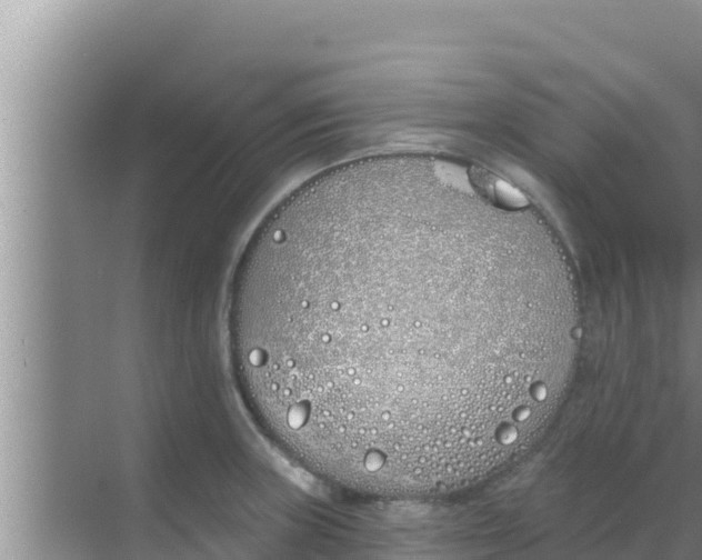 X0000069381235200605262042