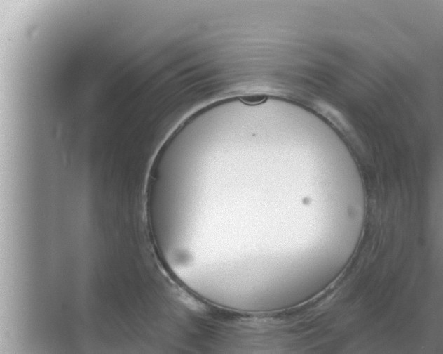 X0000069381236200605262042