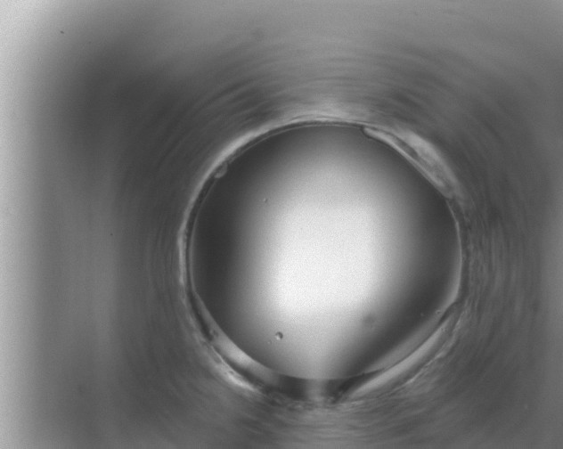 X0000069381238200605262042