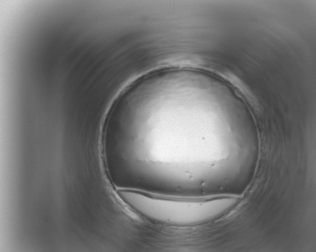 X0000069381240200605262042