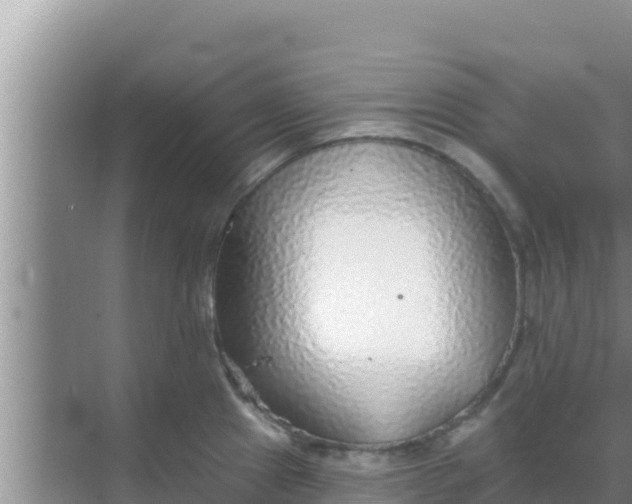 X0000069381241200605262042