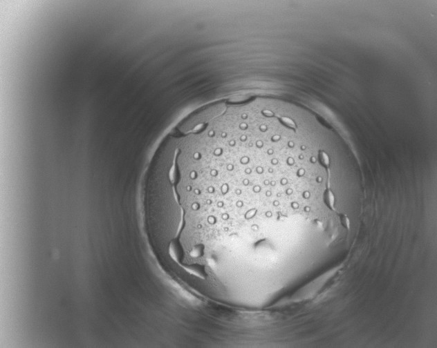 X0000069381243200605262042