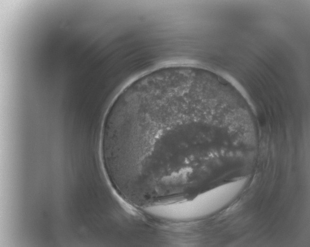 X0000069381245200605262042