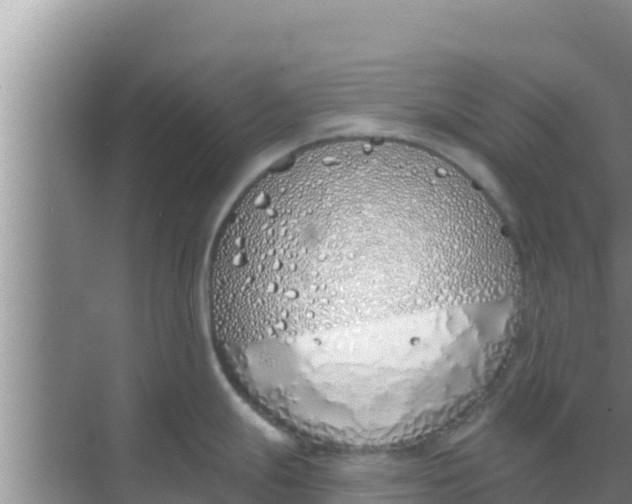 X0000069381247200605262042