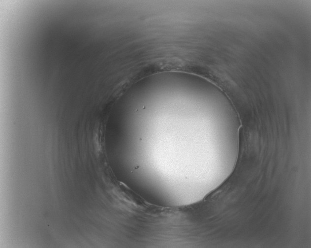 X0000069381250200605262041