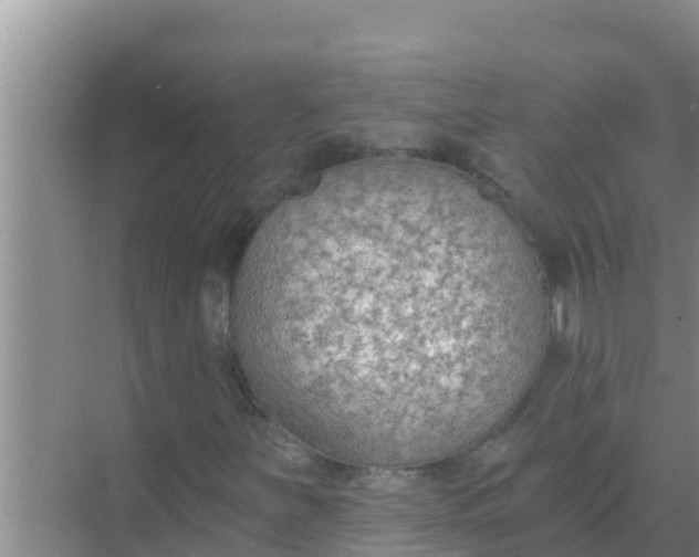 X0000069381251200605262041