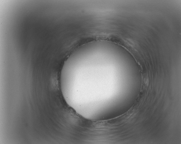 X0000069381252200605262041