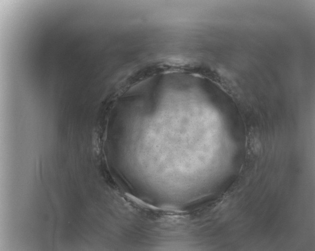 X0000069381253200605262041