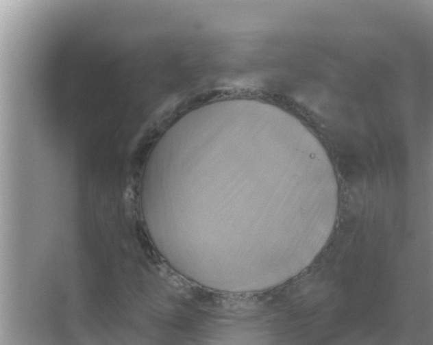 X0000069381254200605262041