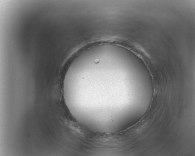 X0000069381256200605262041