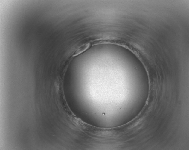 X0000069381257200605262041