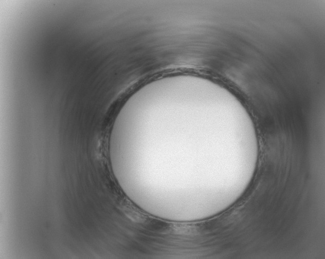 X0000069381258200605262041