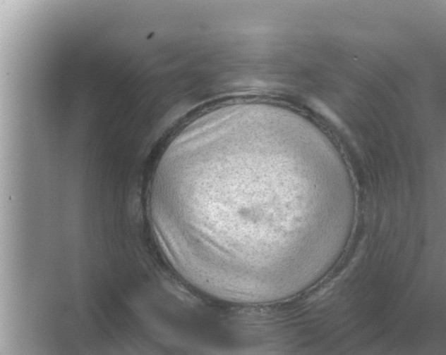 X0000069381259200605262041