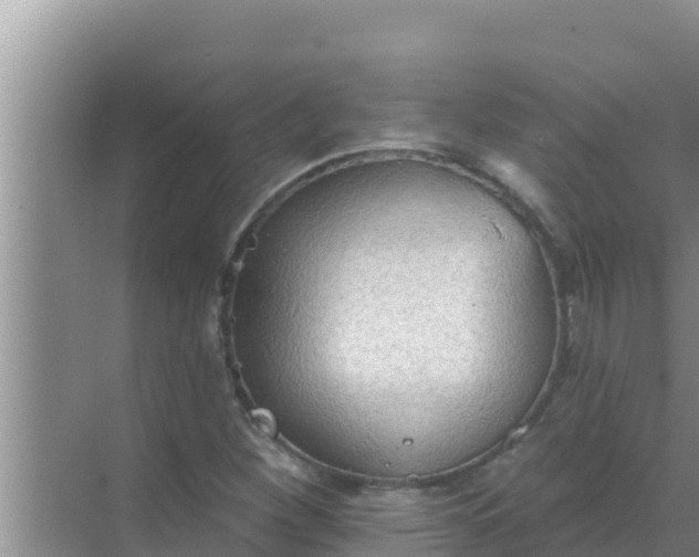 X0000069381260200605262041