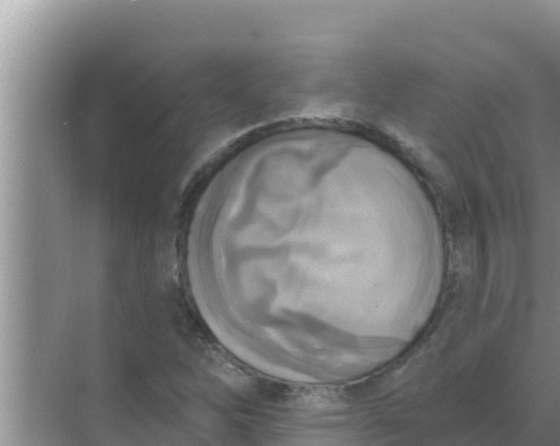 X0000069381262200605262041