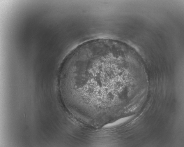 X0000069381263200605262041