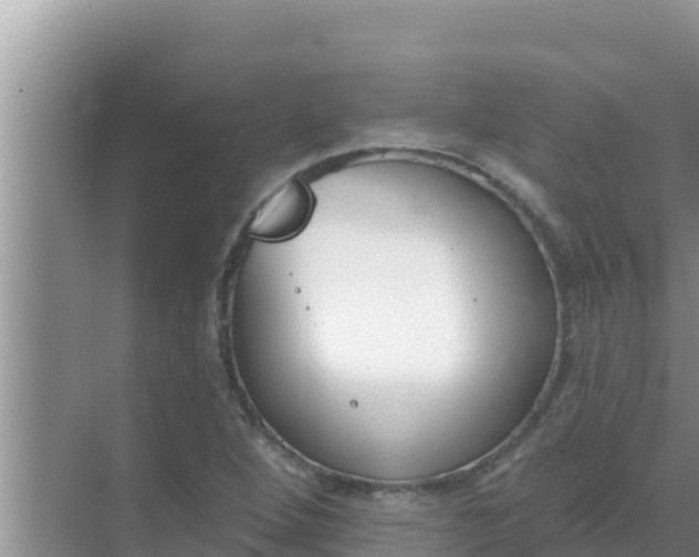 X0000069381264200605262041