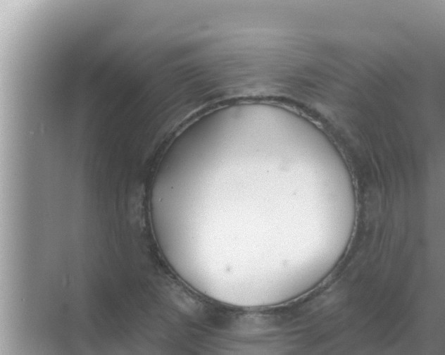 X0000069381265200605262041