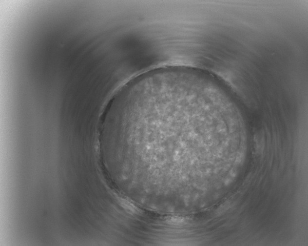 X0000069381266200605262041