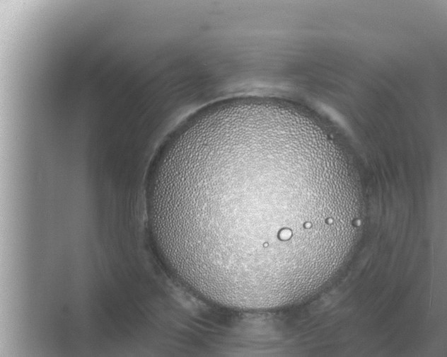 X0000069381267200605262041