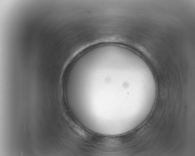 X0000069381270200605262041