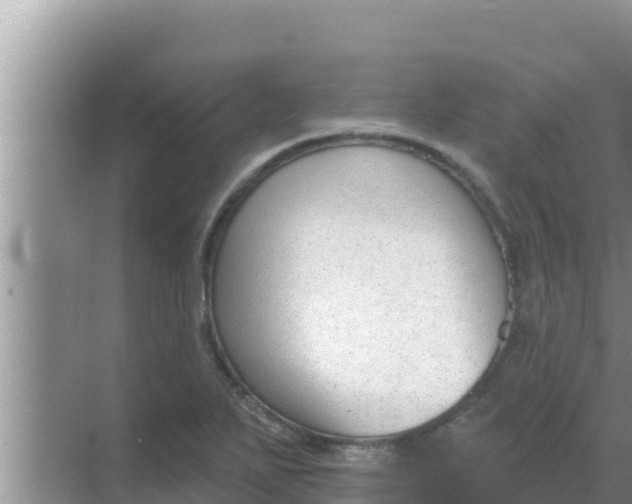 X0000069381271200605262041