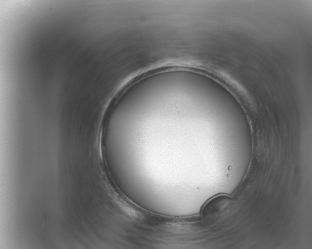 X0000069381272200605262041