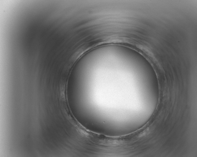 X0000069381273200605262041