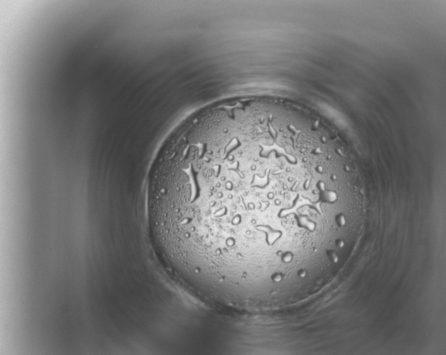 X0000069381275200605262041