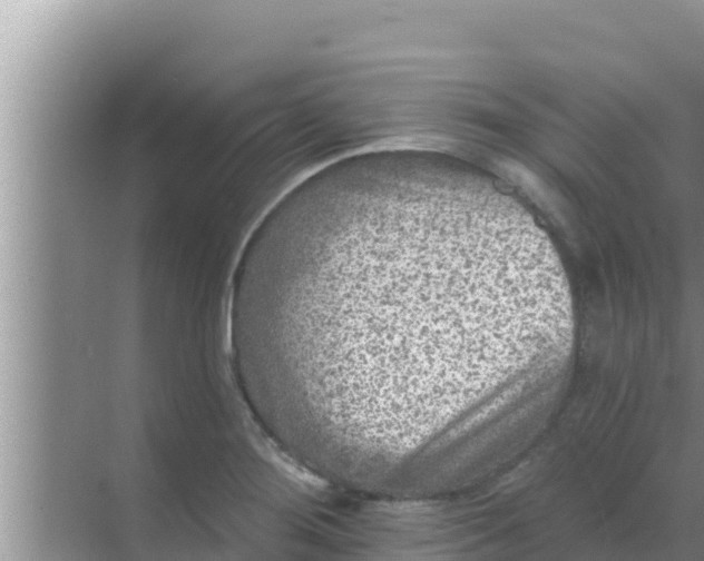 X0000069381276200605262041