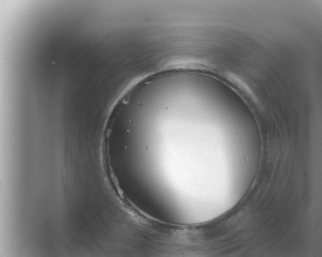 X0000069381277200605262041