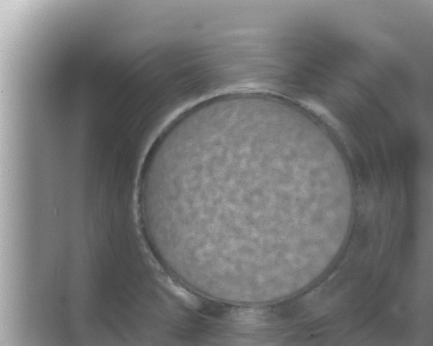 X0000069381278200605262041