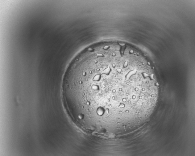 X0000069381279200605262041