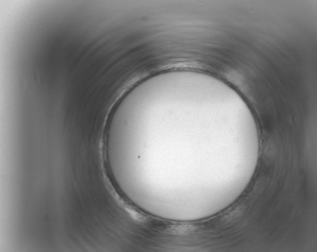 X0000069381282200605262041