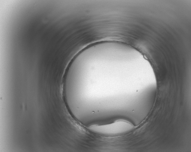 X0000069381284200605262041