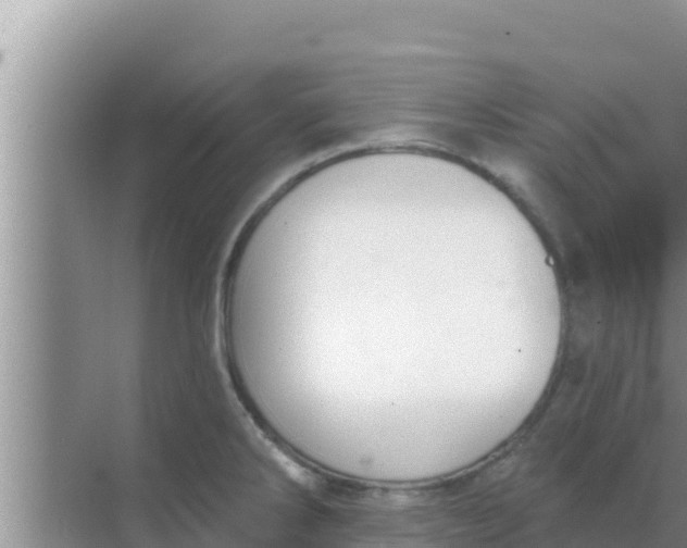 X0000069381286200605262041