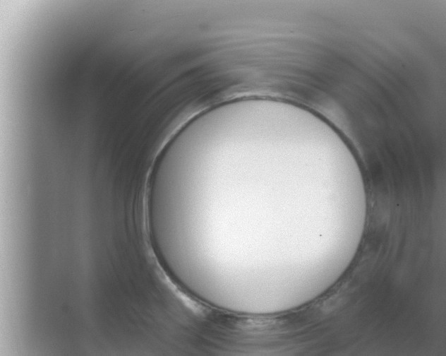 X0000069381290200605262041