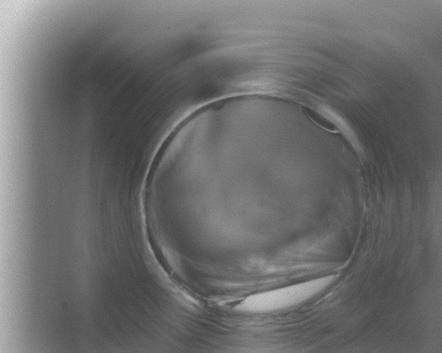 X0000069381291200605262041