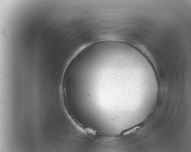 X0000069381293200605262041