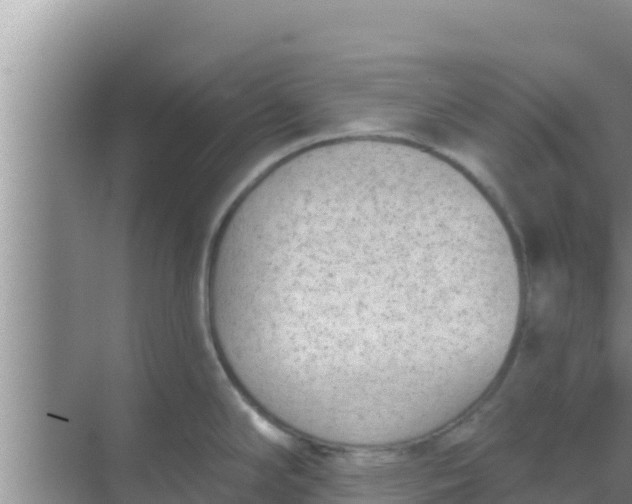 X0000069381294200605262041