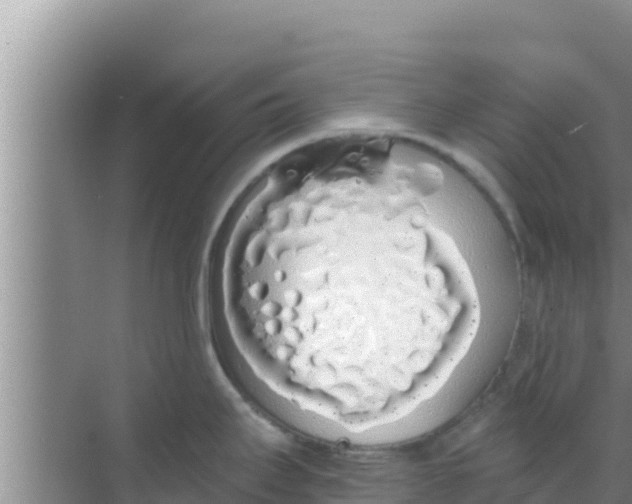 X0000069381295200605262041