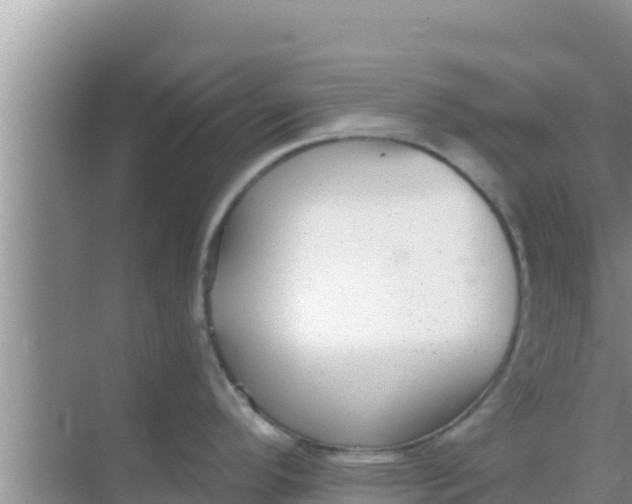 X0000069381296200605262041