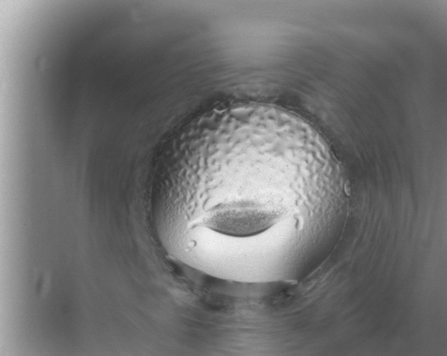 X0000069381297200605262040