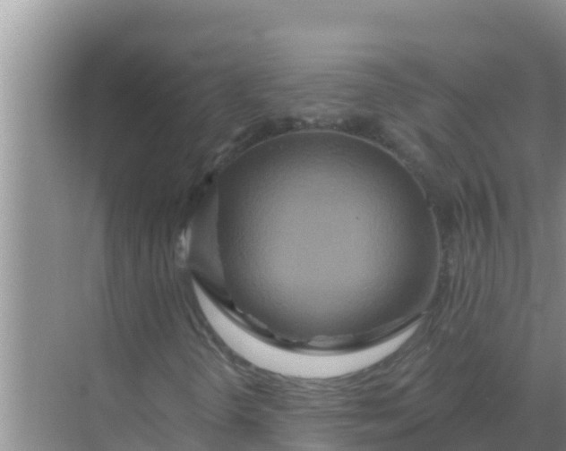 X0000069381298200605262040