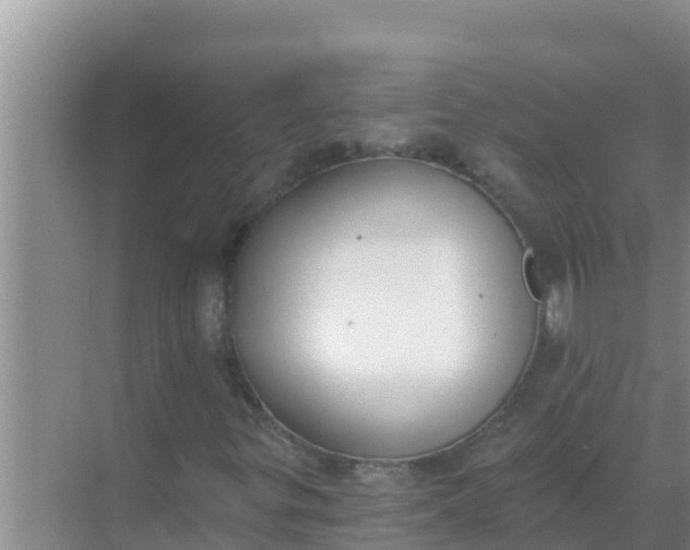 X0000069381299200605262040