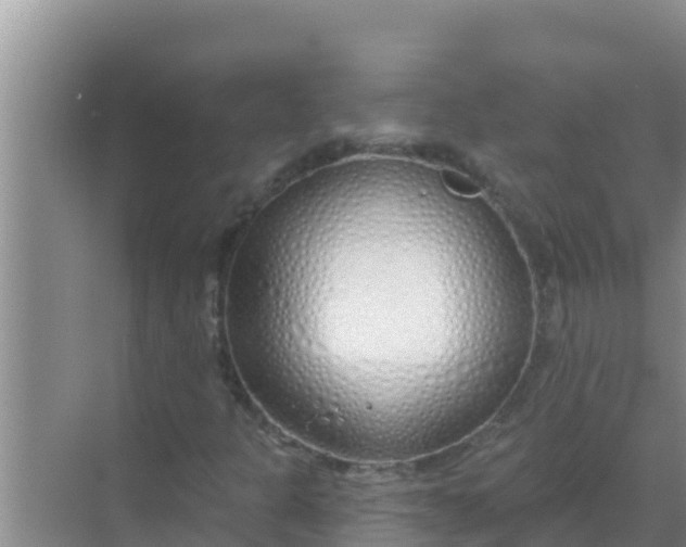 X0000069381301200605262040