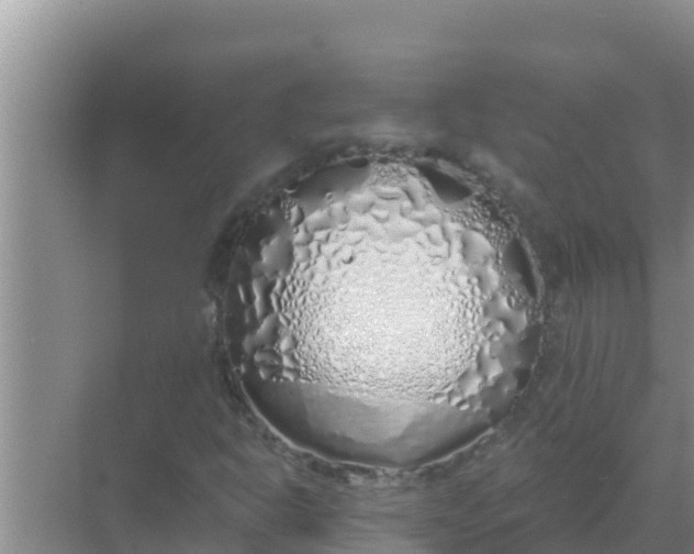 X0000069381302200605262040