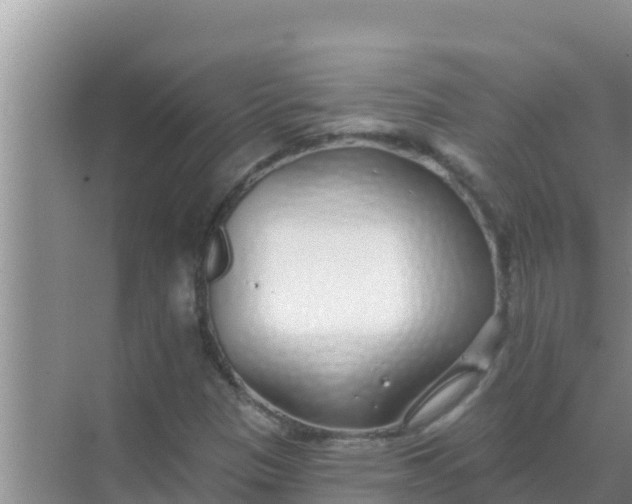 X0000069381305200605262040